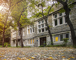 Potansiyelini Keşfet,