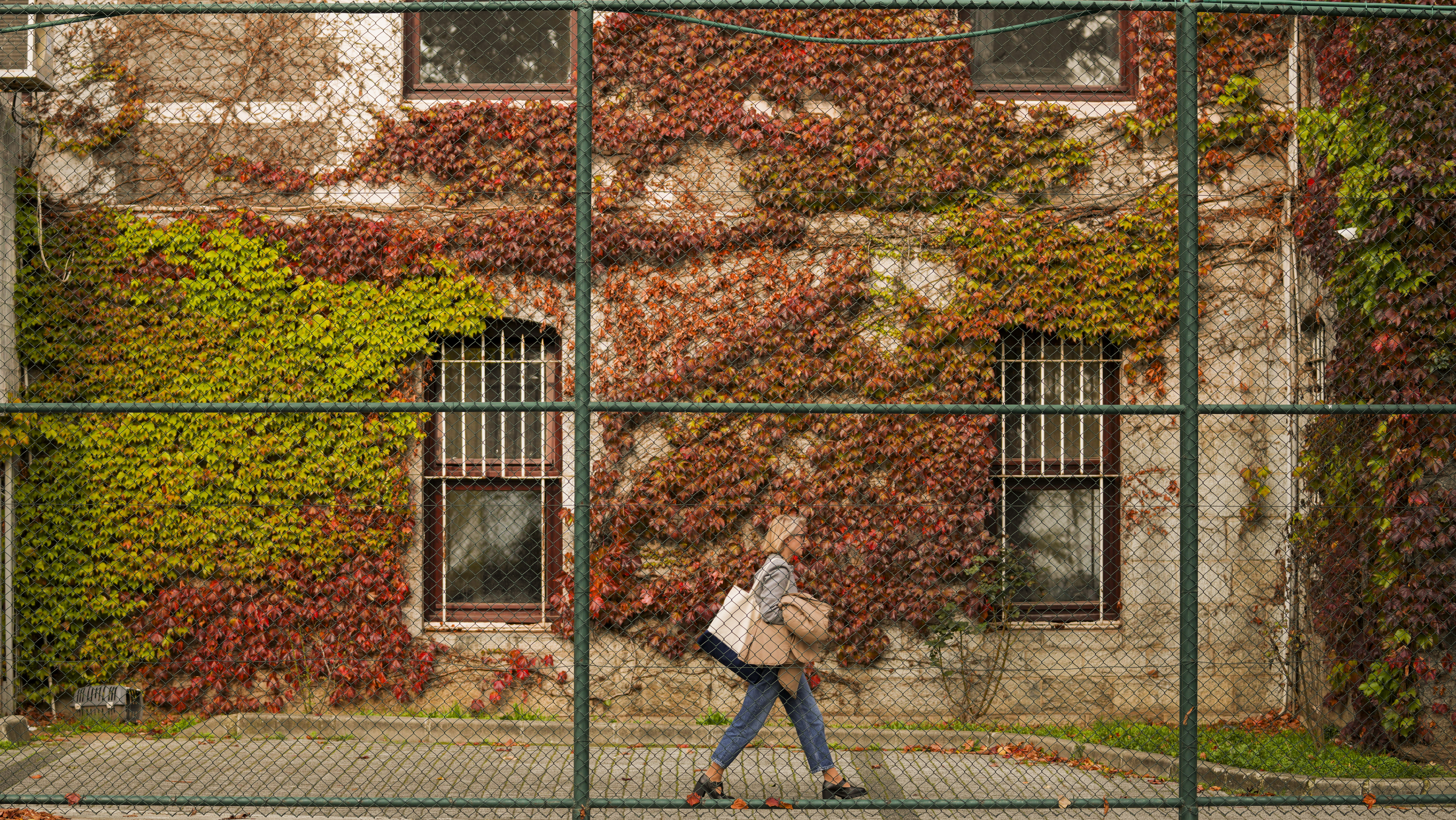 Türkiye'nin En Köklü 